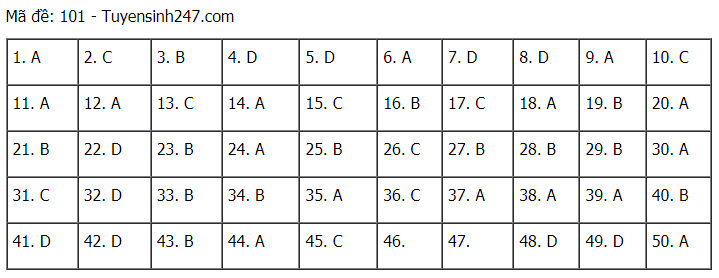 Gợi ý đáp án môn Toán thi tốt nghiệp THPT 2021 đầy đủ mã đề - Ảnh 1