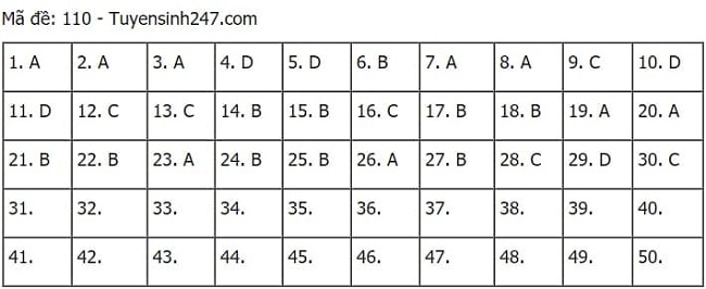 Gợi ý đáp án môn Toán thi tốt nghiệp THPT 2021 đầy đủ mã đề - Ảnh 5