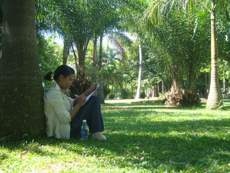 Ôn thi đại học trong những ngày cuối, Sĩ tử luyện thi trong công viên, tuyển sinh, thông tin tuyển sinh, luyện thi đại học, ôn thi đại học Ôn thi đại học trong những ngày cuối, Sĩ tử luyện thi trong công viên, tuyển sinh, thông tin tuyển sinh, luyện thi đại học, ôn thi đại học