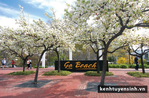 Trường đại học California State