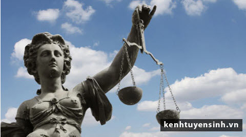 Học ngành luật tại Mỹ