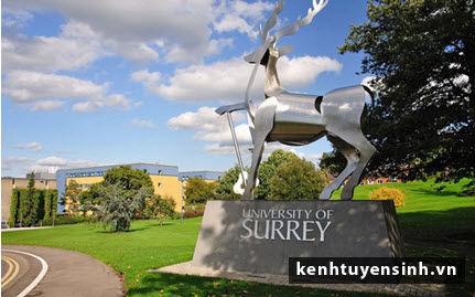 Top 10 trường đại học dễ kiếm việc nhất khi du học Anh Top 10 trường đại học dễ kiếm việc nhất khi du học Anh