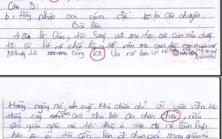Nội dung bài văn kể chuyện tấm cám của nữ sinh Hà Nội, Bài văn gây sốc nhất, tuyen sinh, thong tin tuyen sinh, bai van gay soc, nhung bai van cuoi ra nuoc mat, noi dung buc thu, tien phong Nội dung bài văn kể chuyện tấm cám của nữ sinh Hà Nội, Bài văn gây sốc nhất, tuyen sinh, thong tin tuyen sinh, bai van gay soc, nhung bai van cuoi ra nuoc mat, noi dung buc thu, tien phong