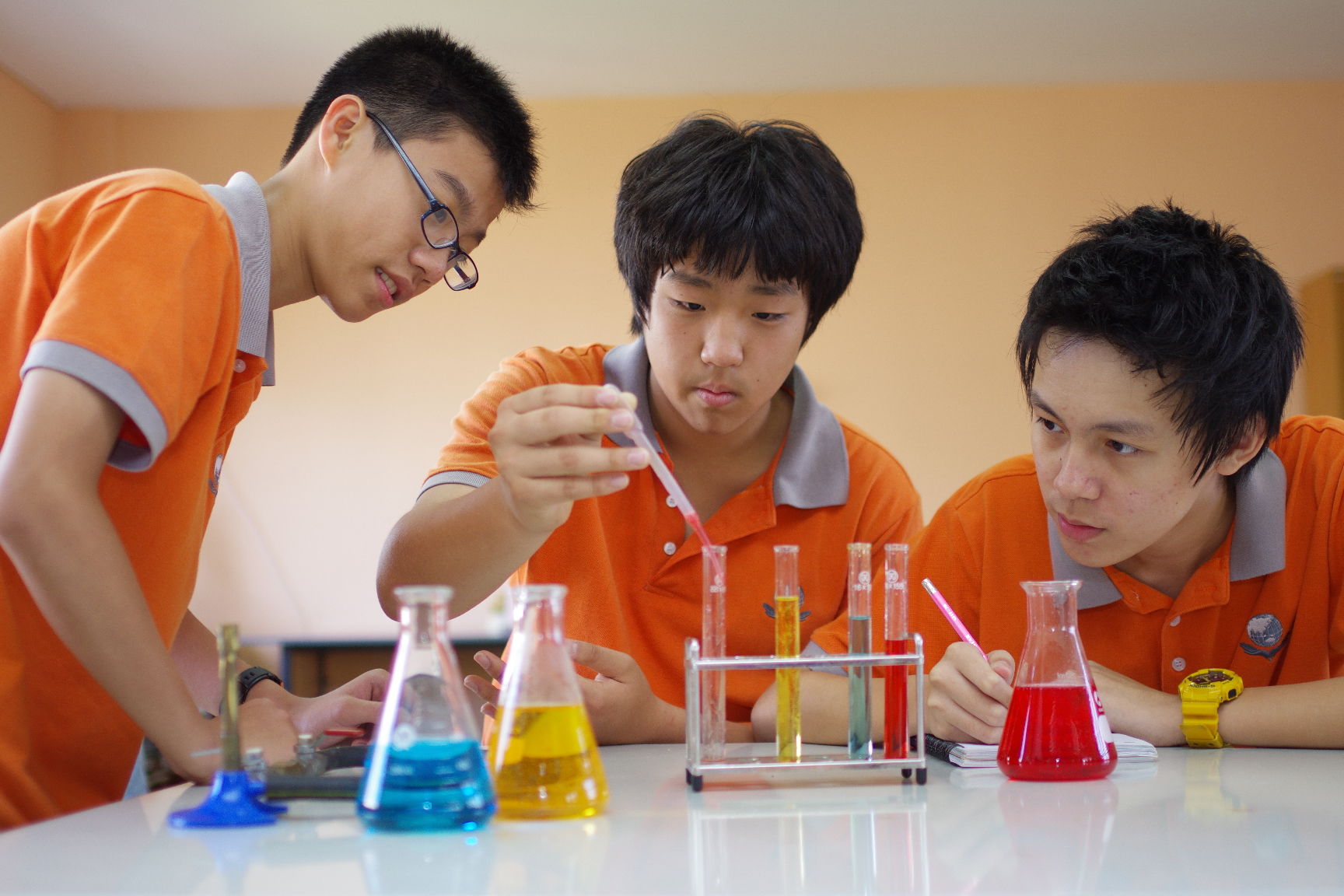 trường quốc tế sis