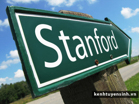 Học MBA, Chương trình MBA, theo học chương trình MBA