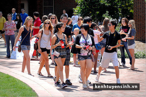 Đăng ký tham gia chương trình học bổng giao lưu văn hóa Mỹ