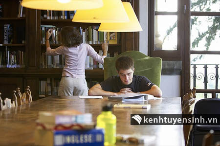 Việt Nam tăng hạng trong top các nước có du học sinh nhiều nhất tại Mỹ