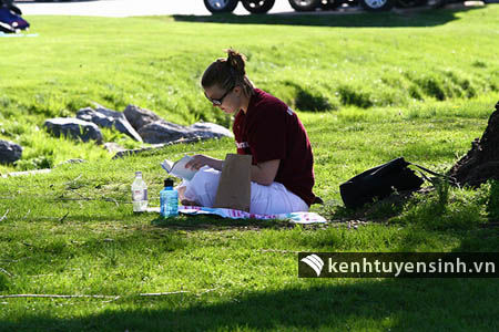 Tìm hiểu về hệ thống giáo dục đào tạo, chương trình học tại Mỹ