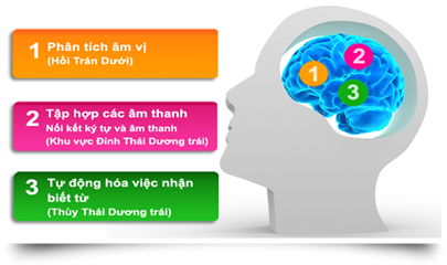 Quy trình học tiếng anh theo phương pháp Phonics Quy trình học tiếng anh theo phương pháp Phonics