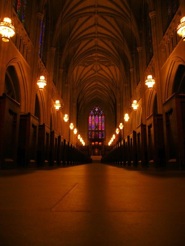 Trường đại học quốc tế lớn nhất thế giới rộng 32Km vuông