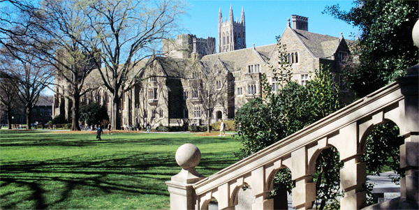 Trường đại học quốc tế lớn nhất thế giới rộng 32Km vuông