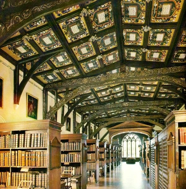 Trường đại học quốc tế lớn nhất thế giới rộng 32Km vuông