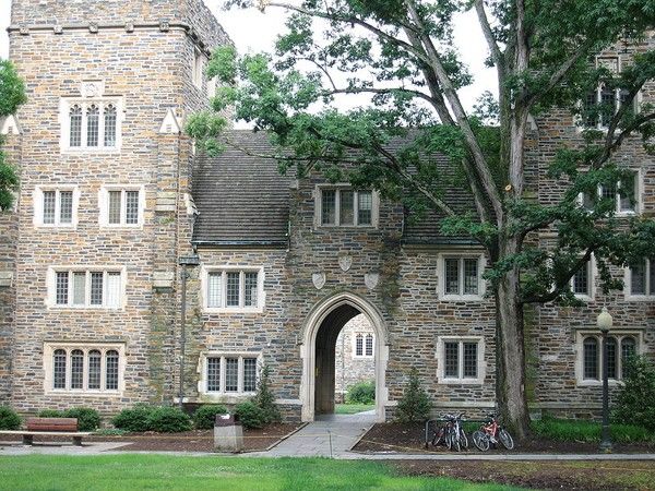 Trường đại học quốc tế lớn nhất thế giới rộng 32Km vuông