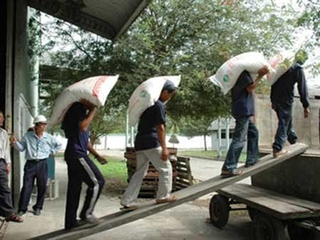 Nghịch cảnh giáo viên phải đi làm bốc vác - Ảnh 1