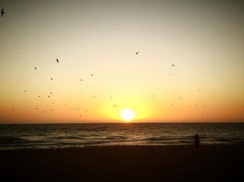 Biển Melbourne ngày Tết