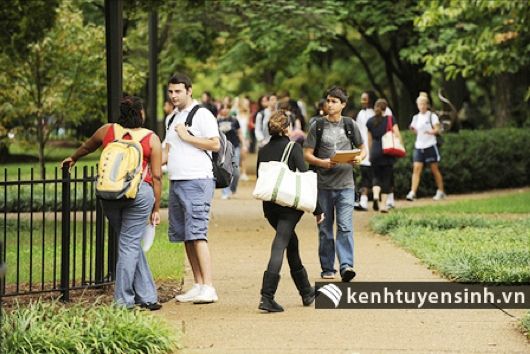 Học thạc sĩ: Yêu cầu đầu vào của các chương trình thạc sĩ tại Mỹ Học thạc sĩ: Yêu cầu đầu vào của các chương trình thạc sĩ tại Mỹ