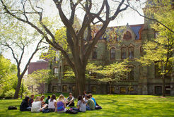 top 10 đh luật tại Mỹ