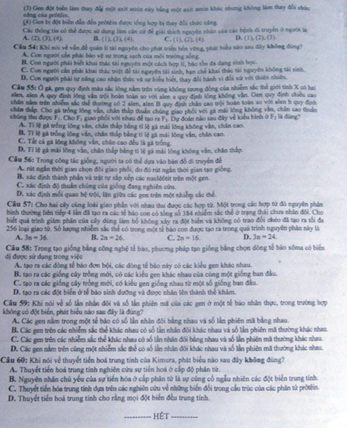Đáp án đề thi đại học môn Sinh khối B năm 2018: Mã đề 196 - Ảnh 6