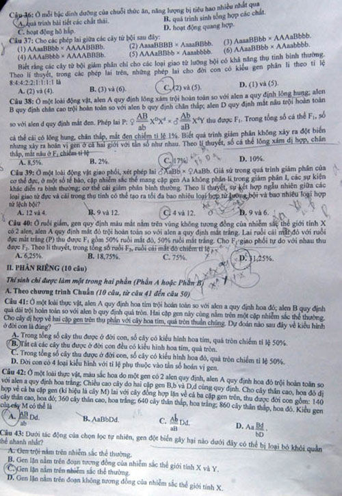 Đáp án đề thi đại học môn Sinh khối B năm 2018: Mã đề 196 - Ảnh 4