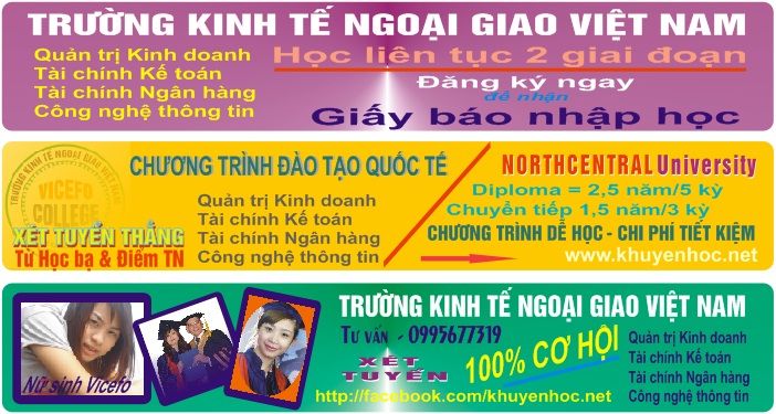 trường kinh tế ngoại giao Việt Nam