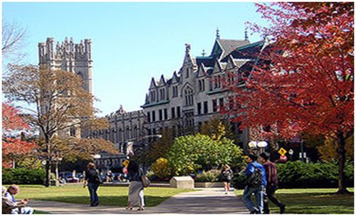 Top 10 đại học tốt nhất thế giới năm 2018 - Ảnh 10