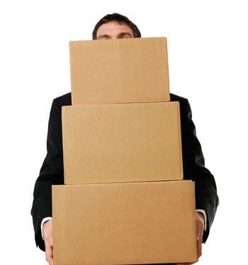 Ngành học độc đáo tại Mỹ