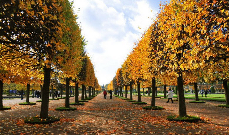 Du học: Con biết phải tự mình đứng dậy khi chẳng may bị gục ngã