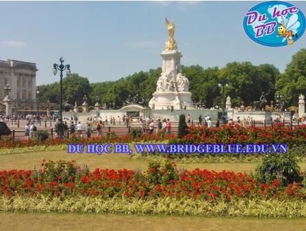 Ngày hội tư vấn du học Anh quốc cho học sinh - sinh viên - Du học BB