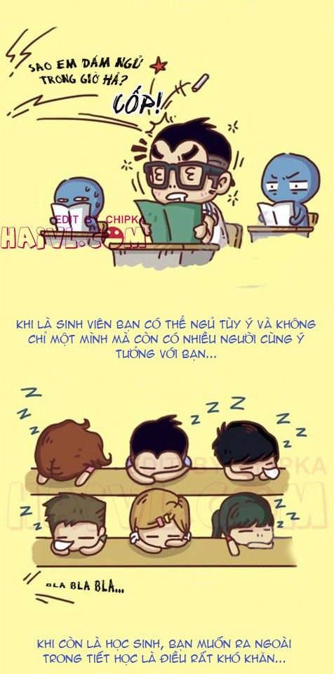 Bộ ảnh: Sự khác nhau cơ bản giữa học sinh và sinh viên