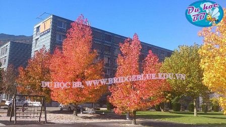 Du học Thụy Sĩ trường Vatel danh giá Du học Thụy Sĩ trường Vatel danh giá