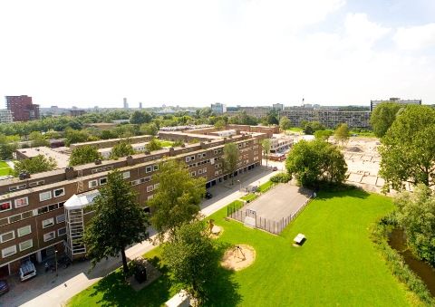 Học quản lý khách sạn tại đại học Stenden, Hà Lan