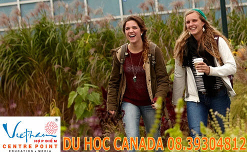 Du học Canada và cơ hội việc làm sau tốt nghiệp