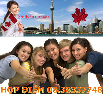 Du học Canada và cơ hội việc làm sau tốt nghiệp
