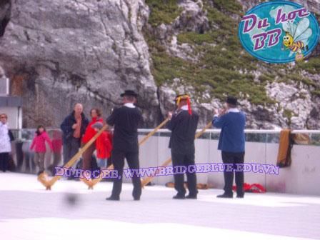 Du học châu Âu: Hội thảo du học Thụy Sĩ trường BHMS Du học châu Âu: Hội thảo du học Thụy Sĩ trường BHMS