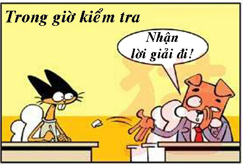 Chùm ảnh quay cop thời học sinh Chùm ảnh quay cop thời học sinh