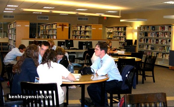 Nên du học ngành Quản trị kinh doanh hay Kinh tế học?