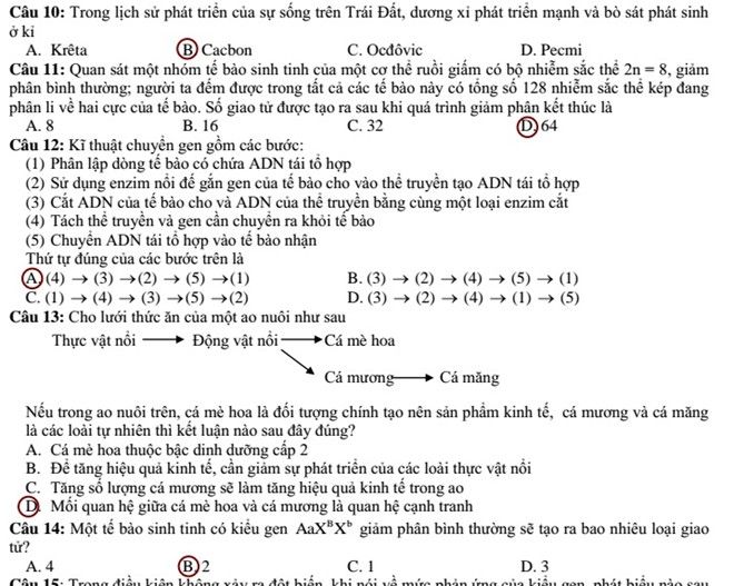 Đáp án đề thi cao đẳng môn Sinh khối B năm 2014
