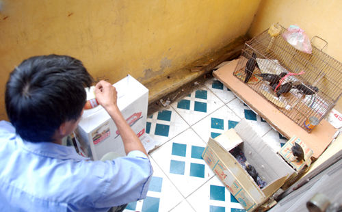 Cảm động người cha mang chim rừng làm lộ phí cho con đi thi