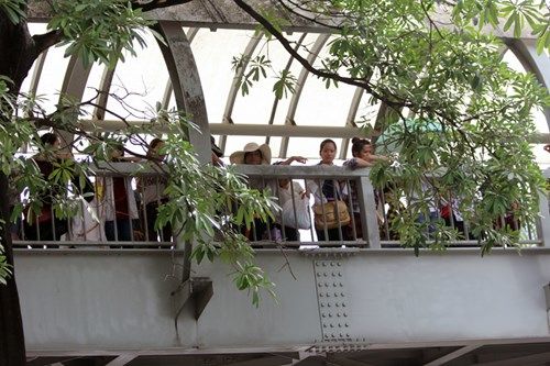 Cảm động mẹ ngất lịm dưới nắng nóng khi chờ con thi