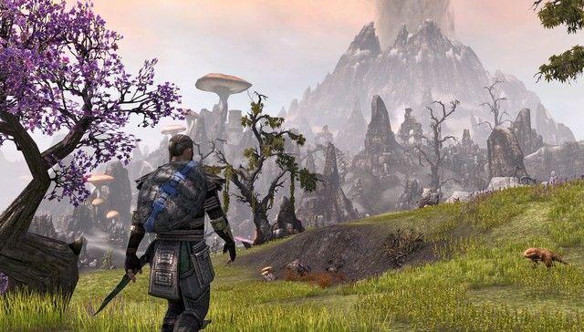 The Elder Scrolls Online The Elder Scrolls Online