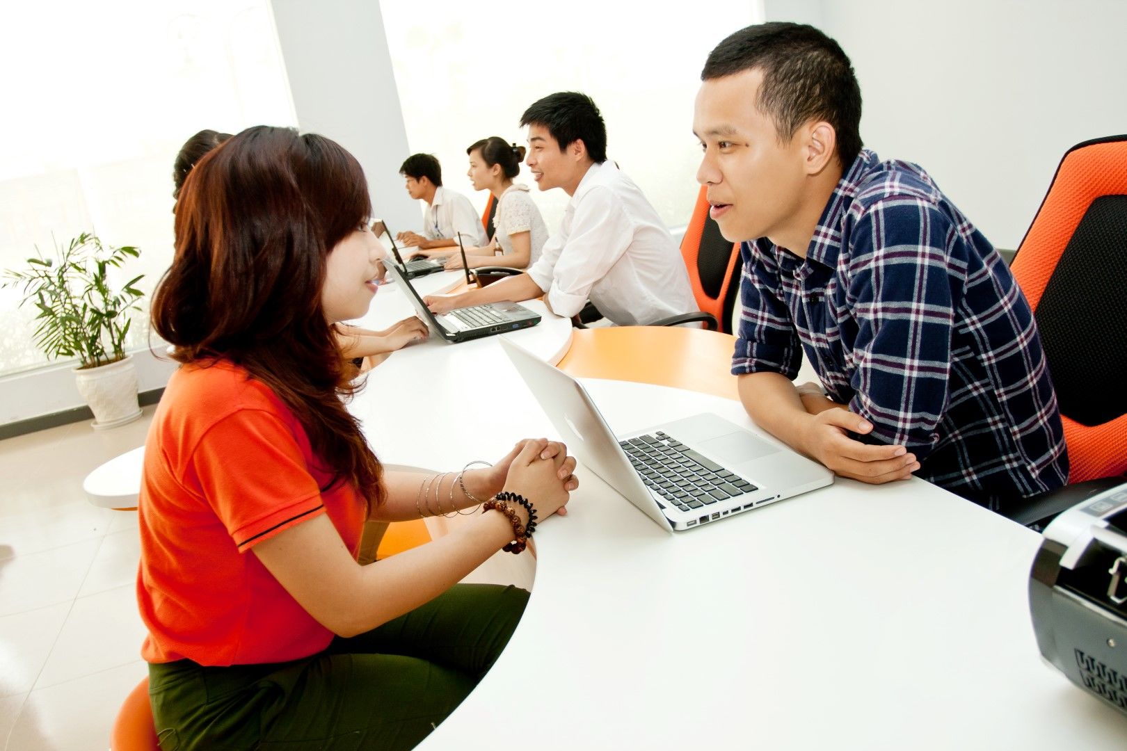 Du học Anh quốc chỉ với hơn 200 triệu - Ảnh 3