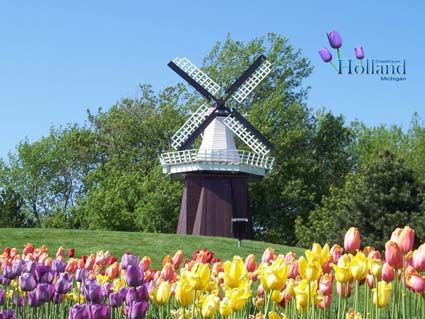 Học bổng du học Hà lan 2015