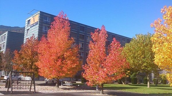 Tại sao sinh viên khắp thế giới tự hào khi học tại trường Vatel? - Ảnh 1