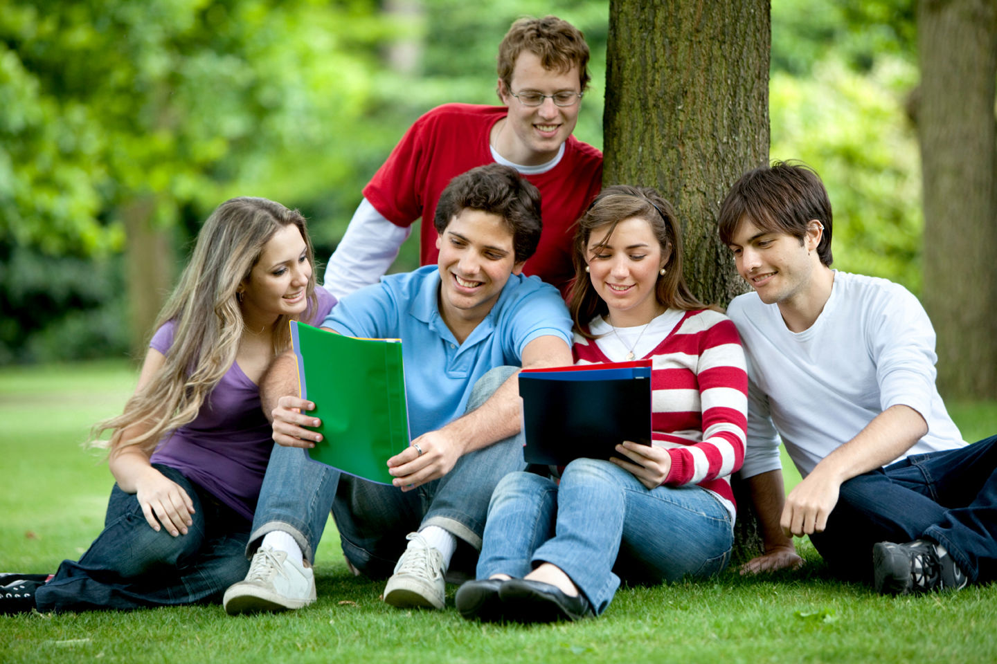 Định cư Mỹ nên học ngành gì? Top 8 ngành học lương cao tại Mỹ 8 Định cư Mỹ nên học ngành gì? Top 5 ngành học lương cao tại Mỹ