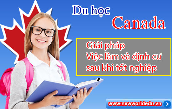 Cơ hội việc làm và định cư cho du học sinh tại Canada