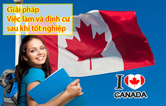 Cơ hội việc làm và định cư cho du học sinh tại Canada
