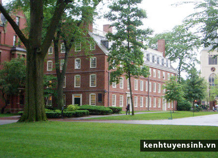 Top 10 trường đại học Mỹ đào tạo ngành kinh tế tốt nhất