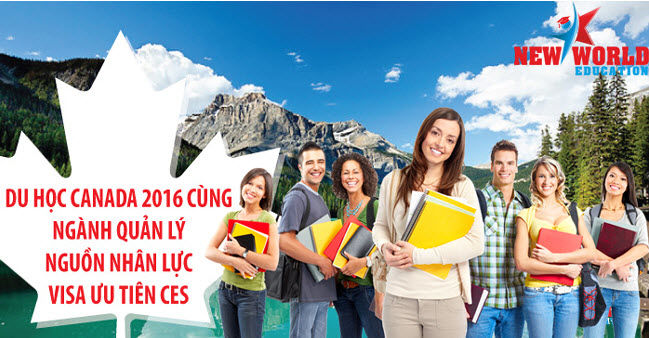 Du học Canada 2016 cùng ngành quản lý nguồn nhân lực – Visa ưu tiên CES 2016