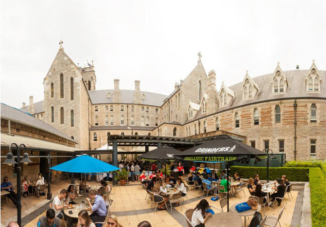 Thực tập hưởng lương và cơ hội làm việc 2 năm tại Úc