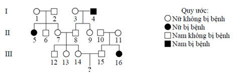 Bí quyết làm bài thi tốt nghiệp THPT môn Sinh học hiệu quả Bí quyết làm bài thi tốt nghiệp THPT môn Sinh học hiệu quả